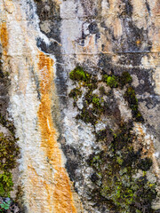 Fototapeta premium Feuchtigkeit und Schimmel an einer Brücke