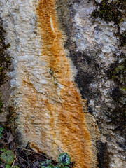 Fototapeta premium Feuchtigkeit und Schimmel an einer Brücke