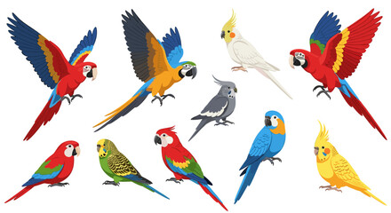 Obraz premium A vibrant collection of ten cartoon-style parrots and cockatiels are displayed in various poses against a clean white background.