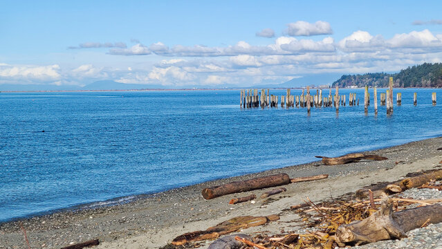 Scenic shoreline with weathered wooden pilings and driftwood at Lighthouse Marine Park in Point Roberts.