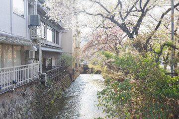 京都・祇園白川と桜