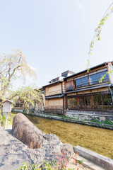 京都・祇園白川と桜