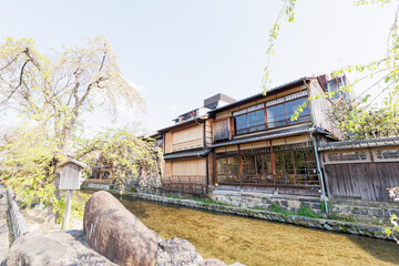 京都・祇園白川と桜
