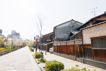 京都・祇園白川と桜