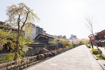 京都・祇園白川と桜