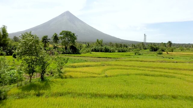 Aerial view of Mayon Volcano with rice fields, Santa Domingo area, Philippines