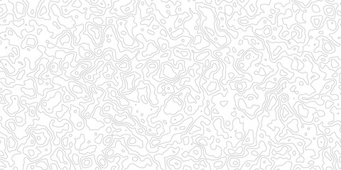 Obraz premium Gray topographic contour lines pattern on white background