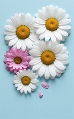 Obraz premium White daisies and one pink flower arranged on light blue background.
