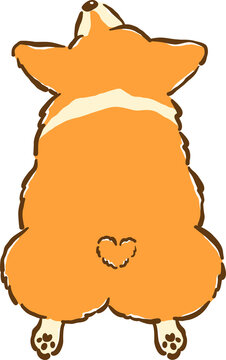 Cute Corgi sploot butt back cartoon hand drawn