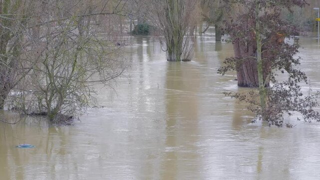 flooded town park, partially submerged trees, muddy river water flood, sunken waste bin. wide view