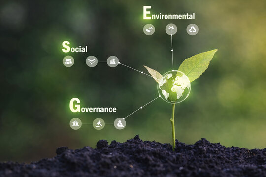 AI generated young plant in soil connected to environmental social and governance icons representing sustainable investment corporate responsibility and green business strategy