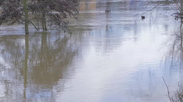Fast flowing flood water in riverside suburban park, submerged tree, reflections of trees and buildings, strong currents
