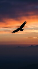 Fototapeta premium Majestic eagle soaring through dramatic sunset sky with vibrant orange and purple clouds over mountain silhouettes creating inspiring freedom concept.