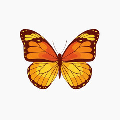 Fototapeta premium Monarch butterfly with orange and yellow wings on a white background