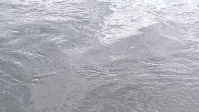 rippling water, eddies and currents of fast flowing flood water, silvery reflections, close up
