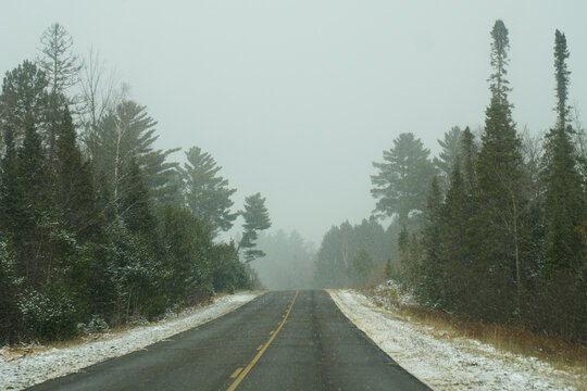 Highway through a snowy forest with large pine trees.