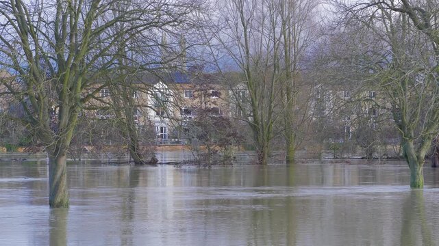 fast flowing flood waters, riverside park covered in burst river, submerged trees, riverside buildings in background