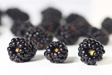 Fresh Blackberries isolated on white background