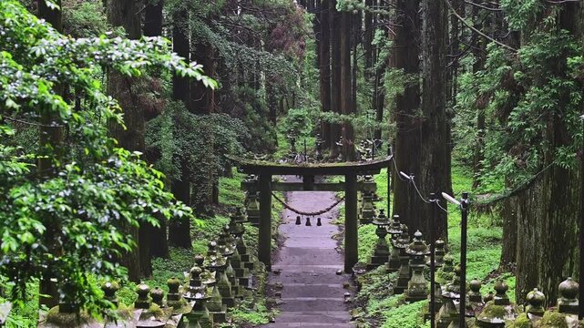 苔むした灯籠と鳥居
「一歩ごとに心が澄む、緑の参道。」
阿蘇郡高森町(上色見熊野座神社)
Moss-covered lanterns and torii gates
"The green approach to the shrine clears the mind with every step."