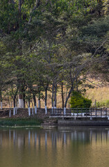 Obraz premium the river in the park