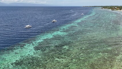 Obraz premium The beautiful sea of ​​Moalboal, Philippines