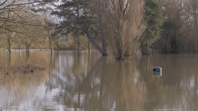 Large flooded park, many trees reflected in calm flood water, submerged waste bin