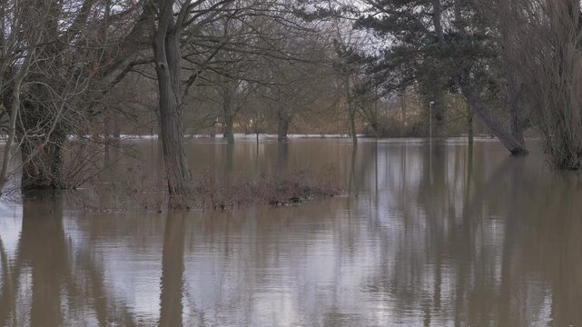 Wide view of flooded wooded riverside town park, lots of trees, reflected in flood water, lamp post in distance