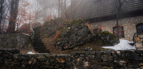 Fototapete bei efototapeten.de bestellen   