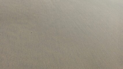 Fototapeta premium A close-up view of a textured gray surface with subtle gradient