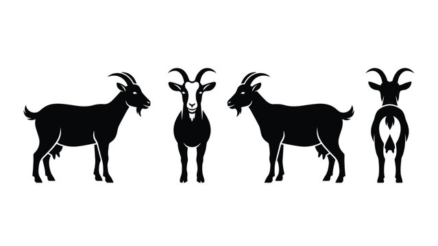 Goat Silhouettes Vector Set. Farm Animal Views: Front, Side Profile, and Back. Black Icons.