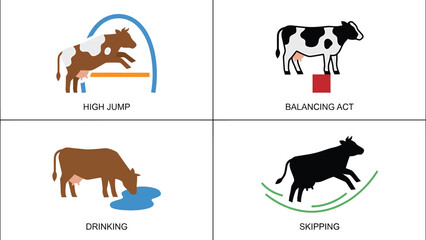 Obraz premium Illustrated set of cows performing various actions: high jump, balancing, drinking, and skipping. Cartoon farm animal activities.