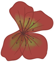 Red Green Drawn Flower Collection Isolated on White Background