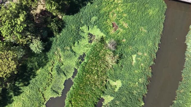 "Arroyo It&aacute;" Urban Nature Reserve, Posadas, Misiones