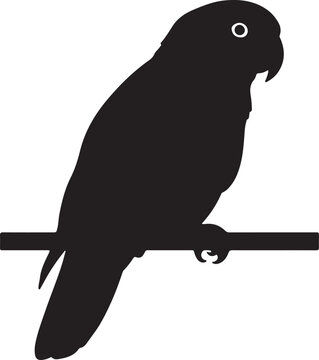 Caique in silhouette on white background.