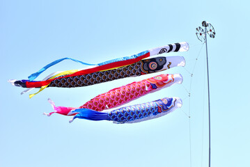  青空と鯉のぼり