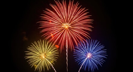 Vibrant fireworks display in the night sky