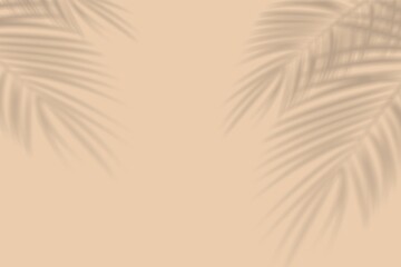 Abstract background of palm leaf shadows on a peach wall © Heru