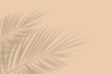 Abstract background of palm leaf shadows on a peach wall © Heru