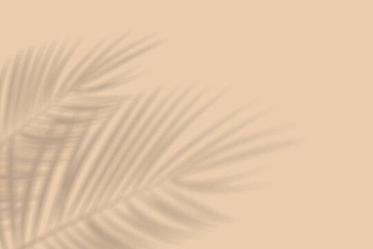Abstract background of palm leaf shadows on a peach wall