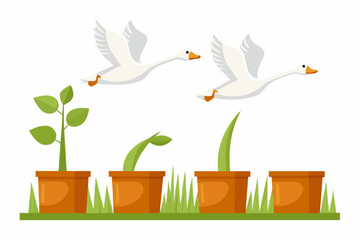 Two white geese are flying over sprouting plants in terracotta pots © Bablu