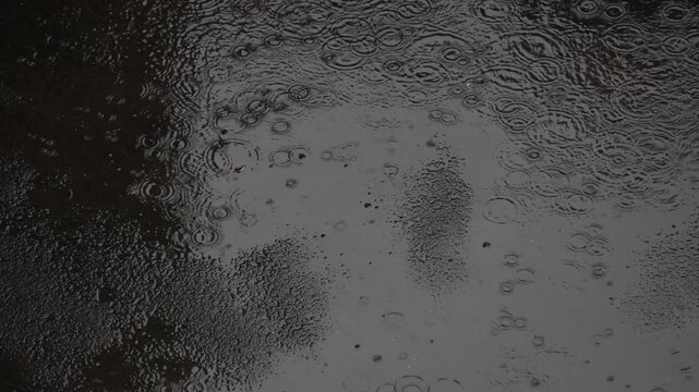 Close-up of raindrops creating ripples on a wet asphalt surface. Moody, high-contrast water texture for urban transitions and ASMR content.