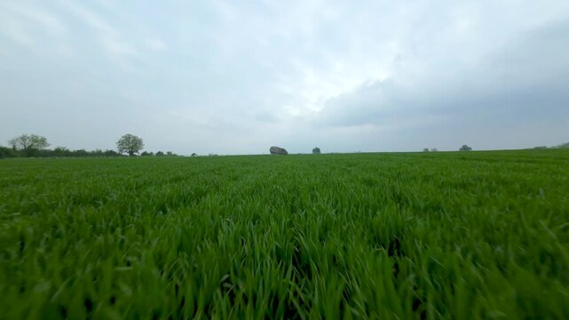 Aerial FPV view of the Brownshill Dolmen, officially known as Kernanstown Cromlech, a magnificent megalithic granite capstone, weighing about 103 tonnes, located in County Carlow, Ireland