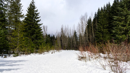 A serene alpine escape in the cascade - Gold Creek Pond in Snoqualmie Pass, Washington state, USA © Deyao