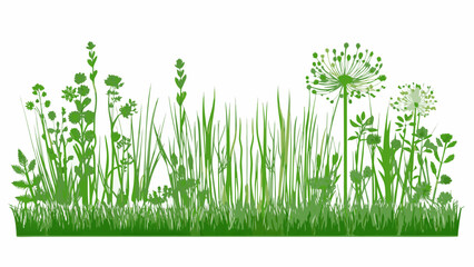 A vibrant collection of green grasses wildflowers and delicate floral arrangements © Raju