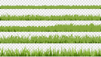 Rows of green grass blades against a transparent background © Raju