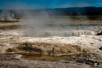 Yellowstone Geyser