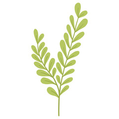Obraz premium Hand Drawn Minimalist Green Leaf Branch Botanical Illustration Transparent Background