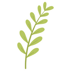 Obraz premium Hand Drawn Minimalist Green Leaf Branch Botanical Illustration Transparent Background