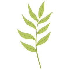 Obraz premium Hand Drawn Minimalist Green Leaf Branch Botanical Illustration Transparent Background