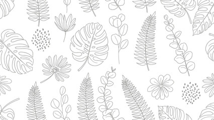 Black and White Leaf Illustrations.